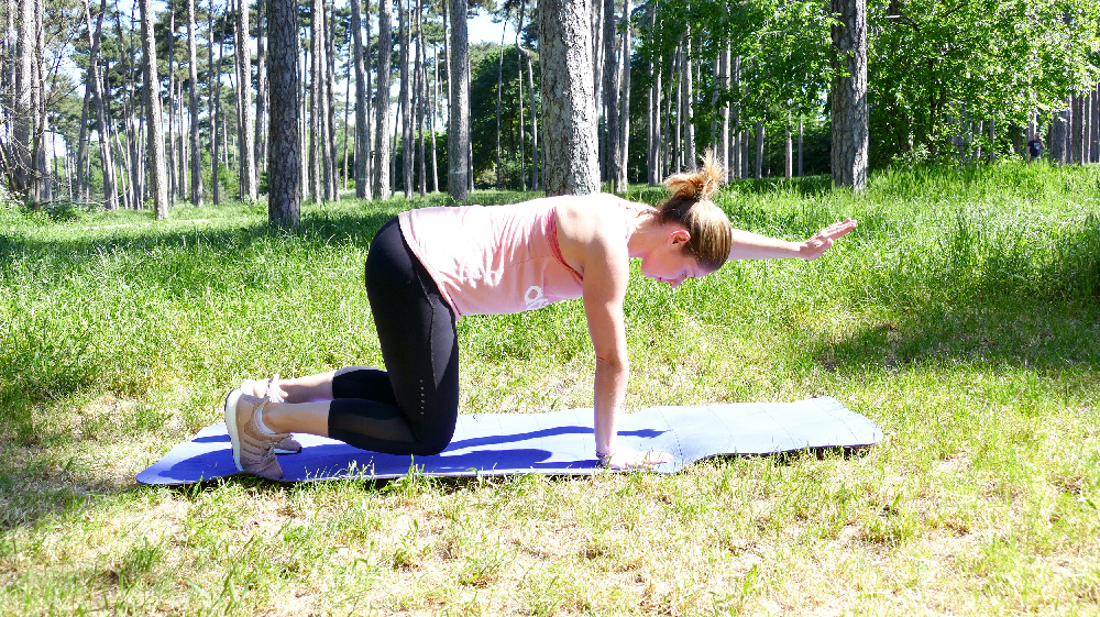Exercice Abdos Bear Plank