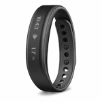 Vivosmart gris Small